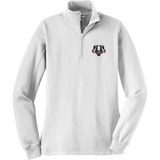 Scary Badgers Ladies 1/4-Zip Sweatshirt