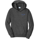 Grand Valley Stars Youth Fan Favorite Fleece Pullover Hooded Sweatshirt